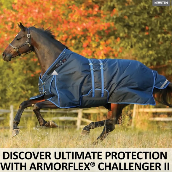 Schneiders Horse Turnout Sheet - Picture 2 of 15